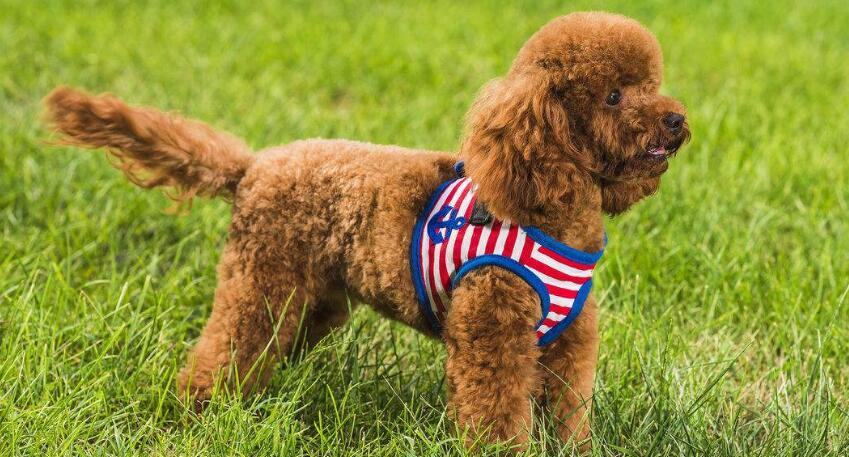 ����Ϻ�������ֺã�����Ϻ�����ĸ����Ӻã�