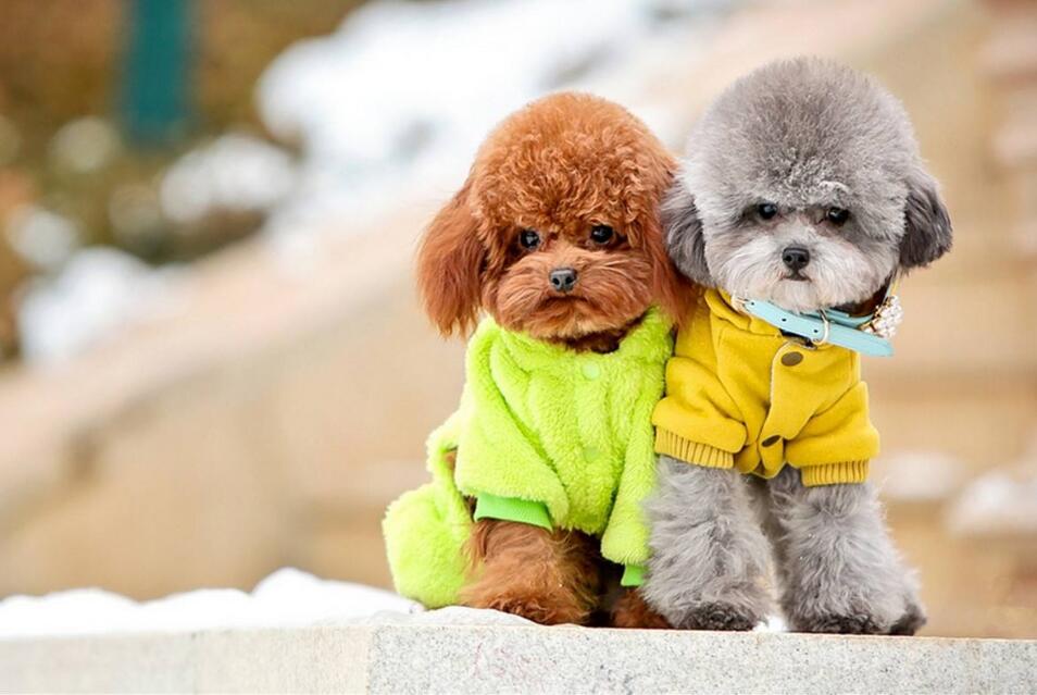 �ȵǼ������˵���¹ⱥ�С���������˽�趨