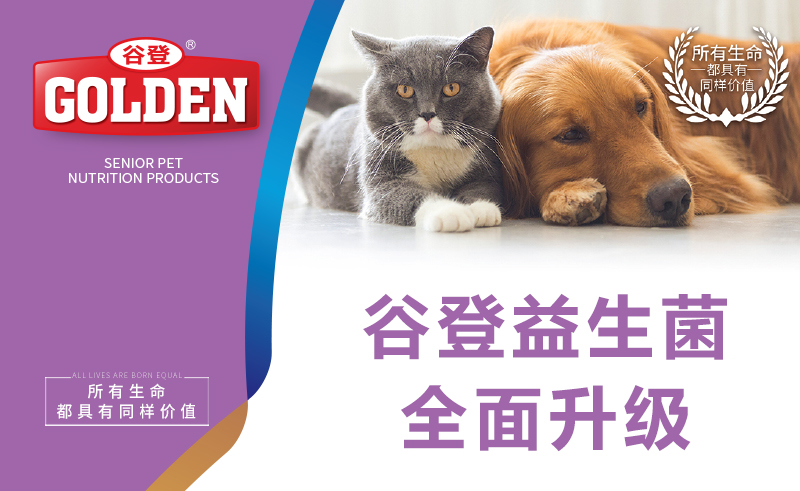 �ȵ�������ȫ������