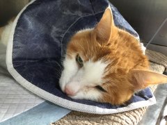 ��Բ����ҽԺ�����ȵ����������װ���