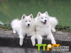 ��ĦҮ���커��Ҫע��ʲô��