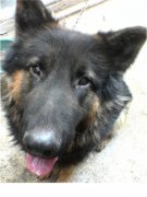 ������ô����