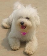 ����ë����ô��