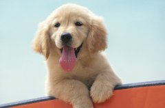 ������θ����������ô��