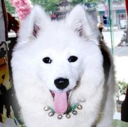 ��ĦҮ�Բ���ô�죿