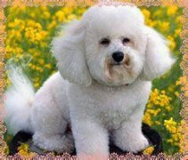 ����Ϊʲô�Դ�㣿