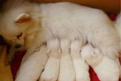 ���й�����ʳҪע��ʲô��