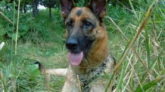 ����Ϊʲô�Ա�㣿