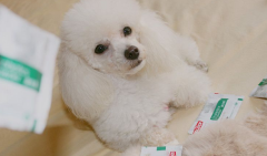 ������ѡ���ֺã�