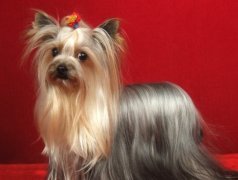 �����´���Ȯ����ʳ��ע��ʲô