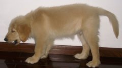 ������������ô��