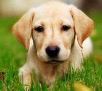 ����������ʳ��ô�죿