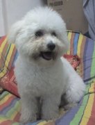 ������������ô��