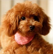 ̩��ë�ʲ�����ô��