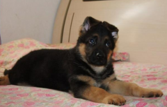 �����۾��������ô��