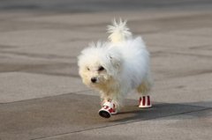 ���ܲ��Է���ô���£�