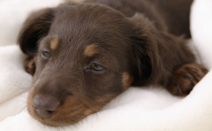 ��������ȱ�Ƴ�ʲô