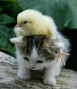 èè��������ô��