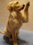 ��ë����Ը�к��ô��