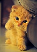 è���������ô��