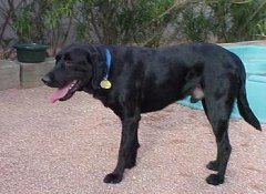 �������಻�Թ�����ô�죿