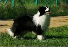 ����ȱ��΢��Ԫ����ô�죿