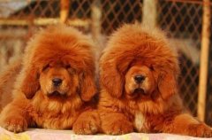 ������Ȯ��ôι��