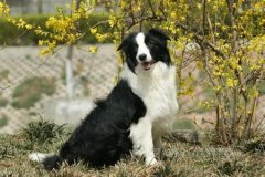 ����Ϊʲô�Ա�㣿