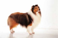 ������θ�ף����˽��ж��٣���ͼ��