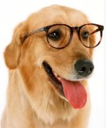 ��ë��ë��ʲô�ã���ͼ��