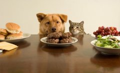 �����Ա����ô�죿����Ϊʲô�Ա�㣿