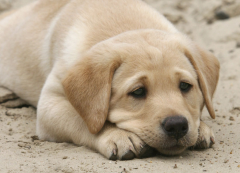 �����ҳԶ�����ô����