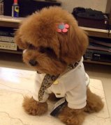 ̩�ϳ�Ϻ���غ���ͼ��