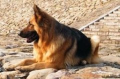 ����������վ��������ô����