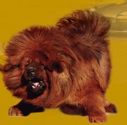 ����ڳ���ô�죿��ͼ�ģ�