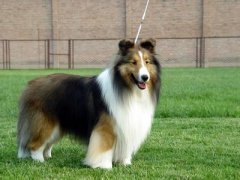 �����н���ô�죿��ͼ��