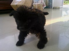 ��������������ô�죿���Ƽ���