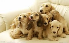 �����Բ�ԭ��ͼ��