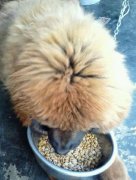 ���Ჹ�Ƴ�ʲô�ã����Ჹ��ע��ʲô