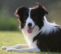 �������첻�Թ�����ô��