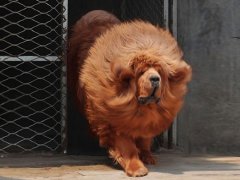 ��������������ô�죿��������������ԭ��