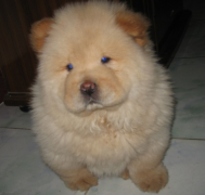 ����Ա����ô�죿