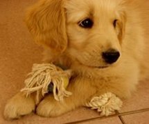 �����������ô��