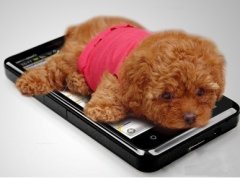 ̩��ëɫ��ǳ��ô�죿��ͼ��