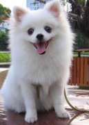 �������ӱ����ô�죿