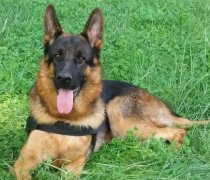 ��������������֢״