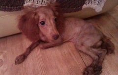 ̩��Ȯ��ë�󳤰�ë��ô�죿��ͼ��