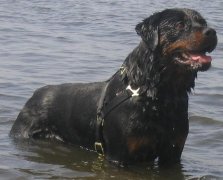 ����Ż����ô�죿����Ż����ô���£�