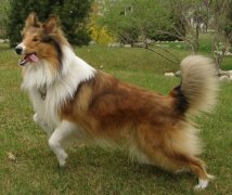 �������첻�Թ�����ô�죿�������첻�Է���