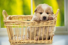 ��ע�������ݽ���ע�����С�����ķ���